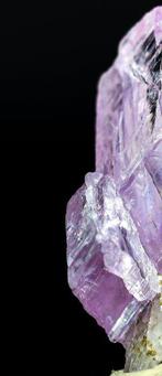 Museum Grade Kunzite Specimen • 27,20 ct • Monumentale, Verzamelen