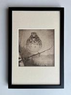 Jan Mankes (1889-1920) - Lijster op tak