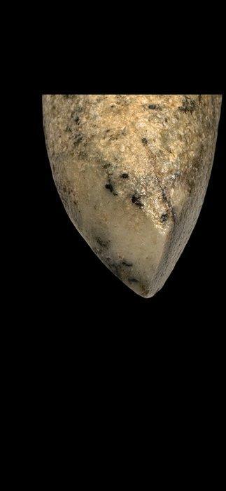 Neolithisch Steen Magnifique Grattoir - 19.5 cm (Zonder, Verzamelen, Mineralen en Fossielen