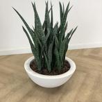 kunst Sanseveria met Elho kunststof plantenbak hoogte 90 cm,, Huis en Inrichting, Kamerplanten