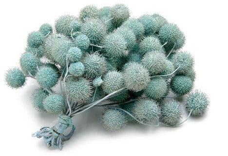 Plataanballetjes Plane Ball Turquoise zak, Huis en Inrichting, Woonaccessoires | Kunstplanten en Kunstbloemen, Nieuw