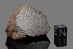 Salaices-meteoriet eindstuk - 47.7 g - (1)