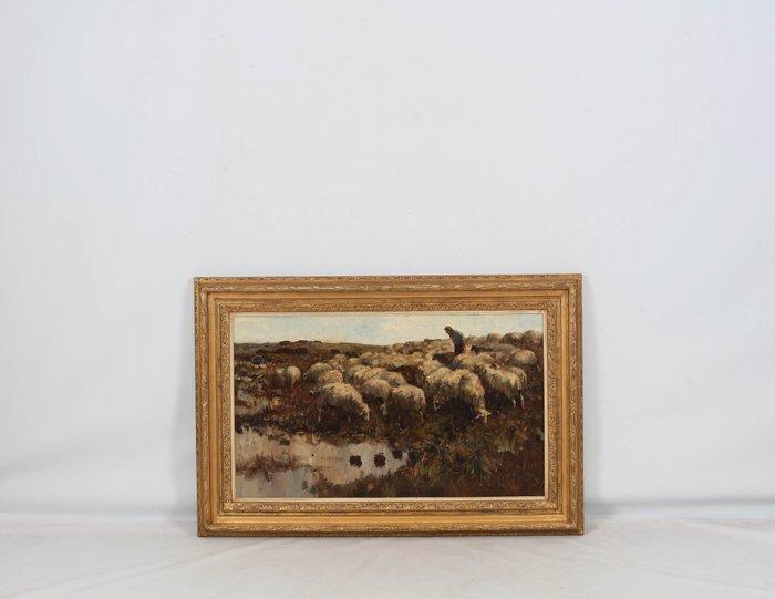 Willem Hendrik van der Nat (1864–1929) - Herder met schapen, Antiquités & Art, Art | Peinture | Classique
