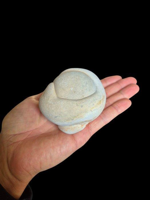 Gogotte silex gogotte - feeënsteen - Hoogte: 8.8 cm -, Collections, Minéraux & Fossiles