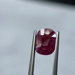 Zonder Minimumprijs Rood Robijn - 3.69 ct - Asian Institute, Nieuw