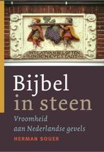 BIJBEL IN STEEN 9789089120083 H. Souer, Verzenden, Gelezen, H. Souer