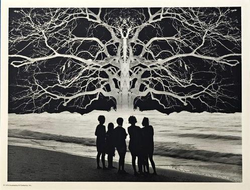 Jerry Uelsmann - Apocalypse II, 1967, Antiek en Kunst, Kunst | Schilderijen | Modern