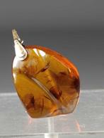 Barnsteen - 3.8 cm - 2.8 cm (Zonder Minimumprijs)