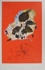 Salvador Dali (1904-1989) - Flordali : Mûres sauvages, Antiek en Kunst