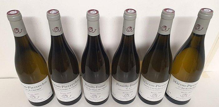 Guffens-Heynen Collection 2022, 2020, 2019 - Bourgogne - 6, Verzamelen, Wijnen
