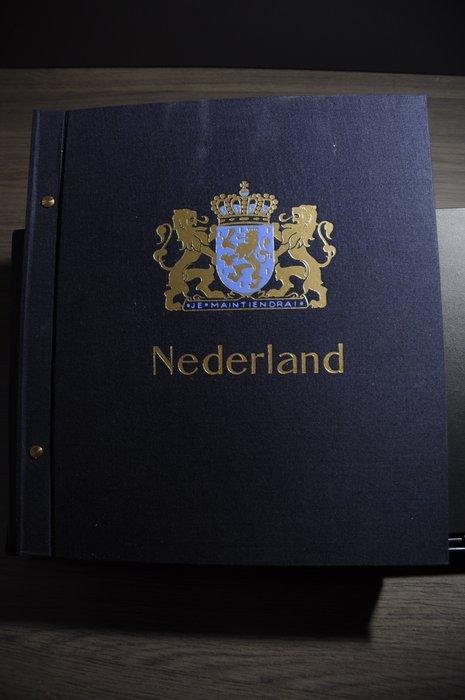 Nederland - Verzameling in een DAVO album en diverse, Postzegels en Munten, Postzegels | Nederland