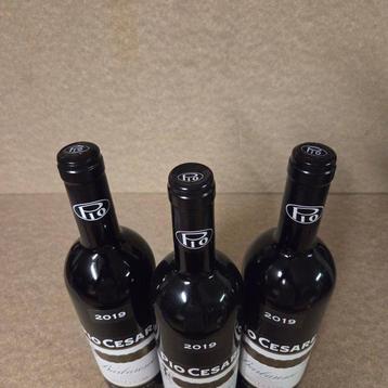 2019 Pio Cesare - Barbaresco DOCG - 3 Flessen (0.75 liter)