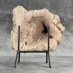 Indrukwekkende plak versteend hout op een op maat gemaakte