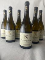2021 Fabien Coche Meursault - Meursault - 6 Bouteilles (0,75, Nieuw