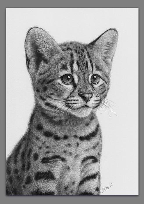 Schu - Serval cub, Antiek en Kunst, Kunst | Designobjecten