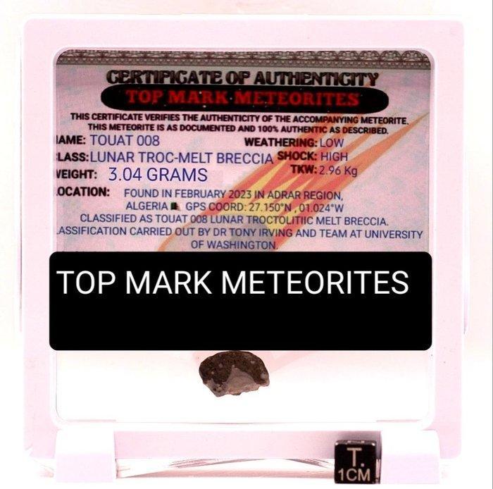 Maanmeteoriet Touat 008 Lunar melt breccia meteoriet,, Verzamelen, Mineralen en Fossielen
