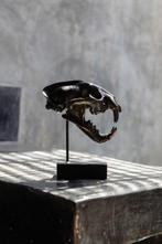 sculptuur, NO RESERVE PRICE - bronze Snow Leopard - 19.5 cm, Antiquités & Art, Art | Objets design