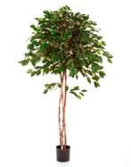 Kunstplant Ficus Umbrella 150 cm, Maison & Meubles, Verzenden