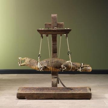 Krokodil Antiek Taxidermie Opgezette Dieren By Max beschikbaar voor biedingen