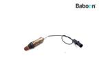 Lambda Sonde Buell XB 12 R (XB12R), Motoren, Verzenden, Gebruikt