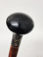 Wandelstok - Hout, Bakeliet