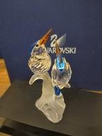 Swarovski - Beeldje - Malachite Kingfishers - 623323 - Box +