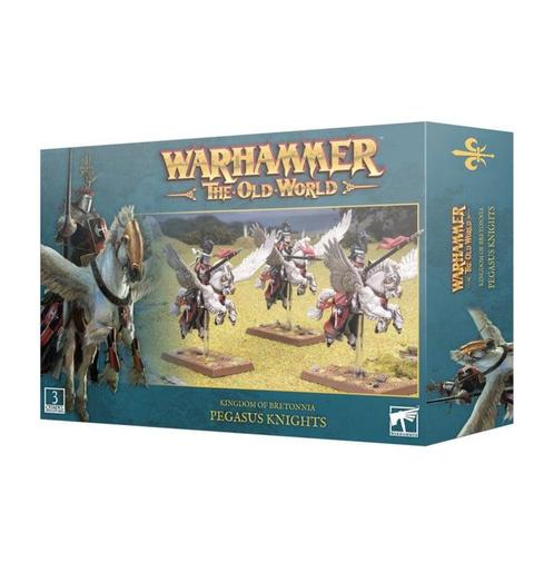 Kingdom of Bretonnia Pegasus Knights (warhammer nieuw), Hobby en Vrije tijd, Wargaming, Ophalen of Verzenden