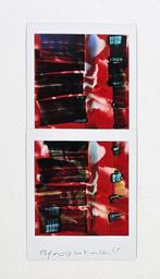 Maurizio Galimberti (1956–) - BiFlowers - 10737