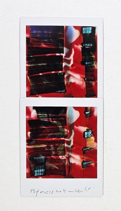 Maurizio Galimberti (1956–) - BiFlowers - 10737, Antiquités & Art, Art | Objets design