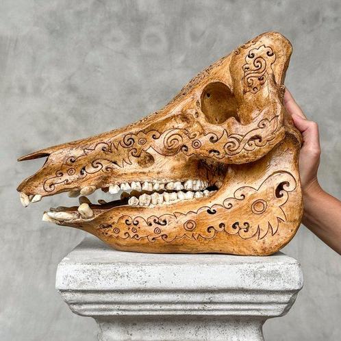PAS DE PRIX DE RESERVE - Sanglier sculpté patiné brun -, Antiek en Kunst, Kunst | Designobjecten