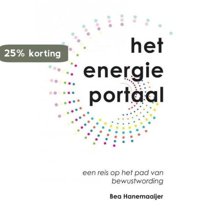 Het energieportaal 9789463427944 Bea Hanemaaijer, Boeken, Economie, Management en Marketing, Zo goed als nieuw, Verzenden
