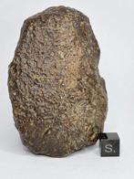 Meteoriet Gewone chondriet. Reserveer geen prijs. - 451 g -, Collections, Minéraux & Fossiles