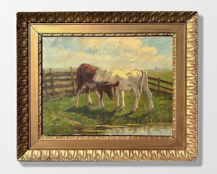 H van Rennese (XX) - Calves in the meadow, Antiek en Kunst, Kunst | Schilderijen | Klassiek
