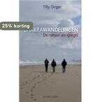 Chakrawandelingen 9789069638386 Tilly Dinger, Boeken, Verzenden, Zo goed als nieuw, Tilly Dinger