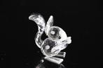 Figuur - Swarovski - Eekhoorn met Noot (Boxed + certificate)