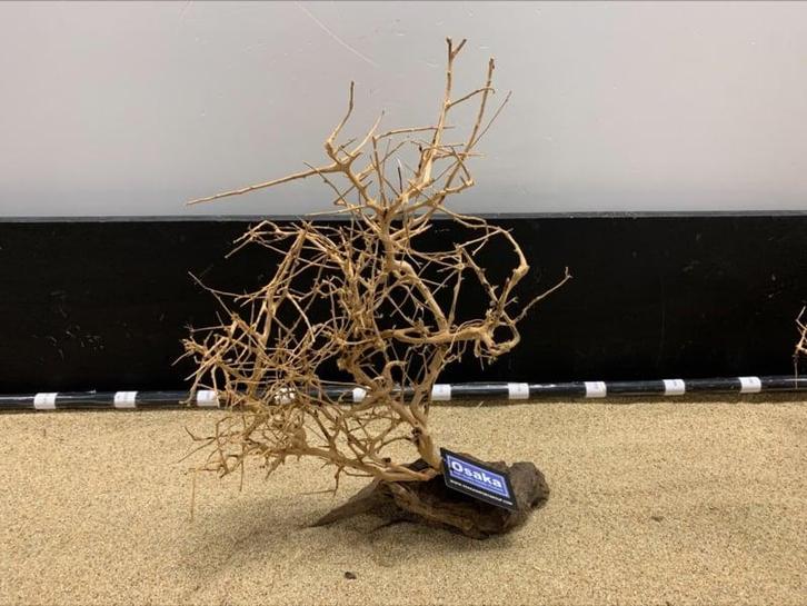 Osaka Bonsai Tree nr 26 - 40x13x48cm - aquascaping boom, Dieren en Toebehoren, Vissen | Aquaria en Toebehoren, Plant(en), Steen of Hout