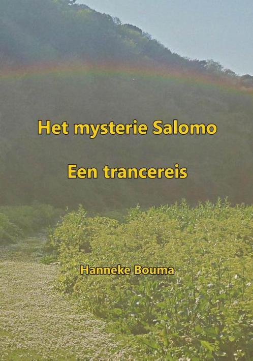 Het mysterie Salomo 9789492247056, Livres, Ésotérisme & Spiritualité, Envoi