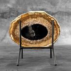 Prachtige plak petrified palm root op een aangepaste