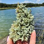 XXL Groen Gras GIPS met Atacamiet, Kristalcluster - Hoogte:, Verzamelen, Mineralen en Fossielen