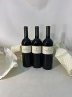 2007 Domenico Clerico, Percristina - Barolo - 3 Flessen, Verzamelen, Wijnen, Nieuw