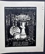 M.C. Escher (1898-1972) - Paddestoel, Antiek en Kunst