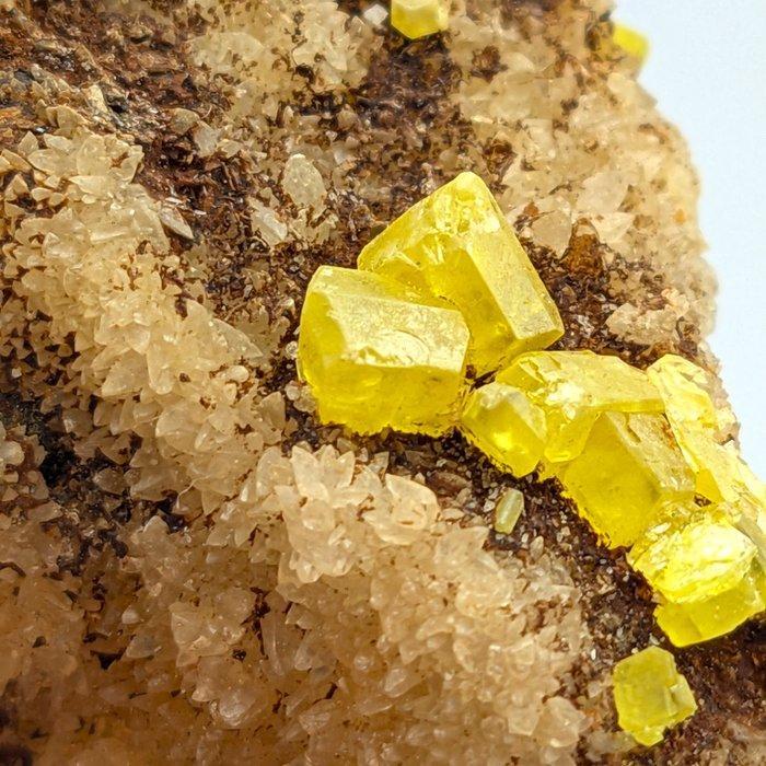 GEEL ZOLFO met BITUME en ARAGONIET UV, Sicilië Kristallen op, Verzamelen, Mineralen en Fossielen