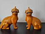 Yellow glazed foo dog - Porselein - China - 20e eeuw, Antiek en Kunst