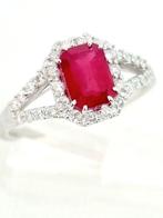 Ring - 18 karaat Witgoud Robijn - Diamant, Handtassen en Accessoires, Ringen, Nieuw