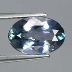 Zonder minimumprijs - 1 pcs Groen, Violet Tanzaniet - 2.06, Nieuw