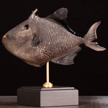 Taxidermistisch exemplaar op een basis in de stijl van een beschikbaar voor biedingen