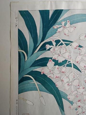 Vanda  (many branches) - Shodo Kawarazaki