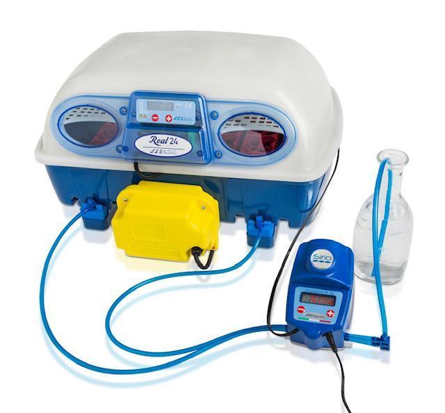 Borotto broedmachines (importeur) + gratis eieren, Animaux & Accessoires, Volatiles | Accessoires, Envoi