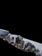 Schouwspiegel - Hout, Antiek en Kunst