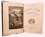 Verne - Ventimila Leghe Sotto Ai Mari - 1873, Antiquités & Art, Antiquités | Livres & Manuscrits